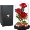 Dream of Flowers, Beauty and The Beast Rose Flowers